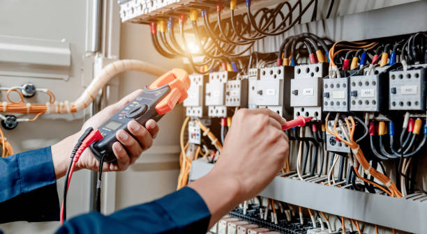 Best Electric Panel Repair  in Samson, AL